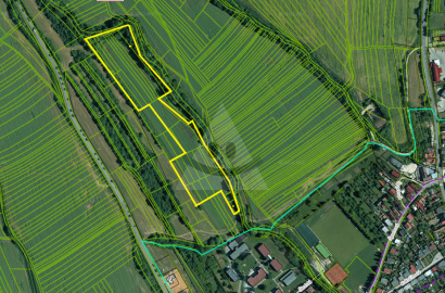 Pozemok / 28.550 m2 / na predaj Nitrianske Pravno