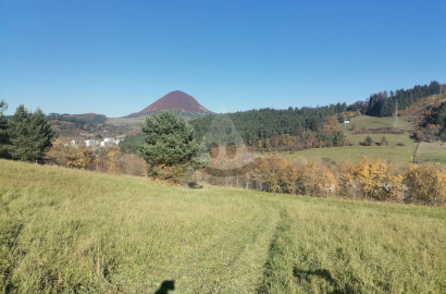 Pozemok na predaj, Zemiansky Kvašov