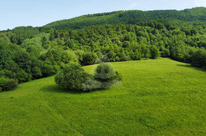 Investičný rekreačný pozemok / 2060 m2 / Terchová