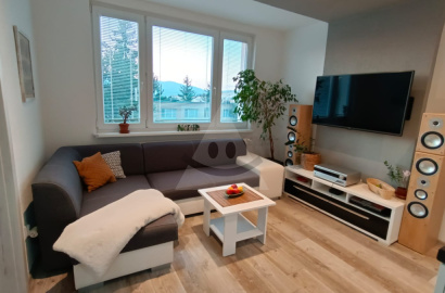 1 izbový byt na prenájom