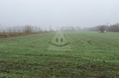 Pôda s náhradným pozemkom na predaj v Nesvadoch