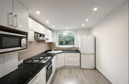 3 izbový byt na predaj, Ľadoveň