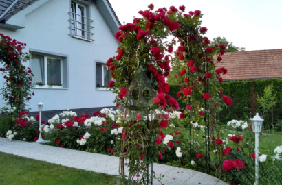 Rodinný dom na predaj, Trebostovo