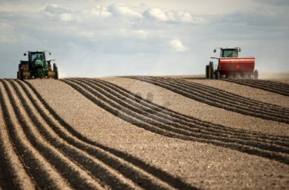 Na predaj orná pôda v okrese Nitra