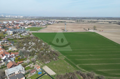 Arable land for sale, Jarovce, Bratislava V (6000 m2)