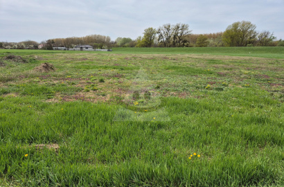 PREDAJ – Stavebný pozemok Komoča priamo pri rieke Váh