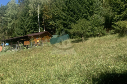 Rekreačný pozemok pre mobilný dom, chatu / 847 m2/ Žilina - Závodie