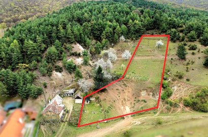 Rozľahlý pozemok na výstavbu rodinného domu – Nitrica