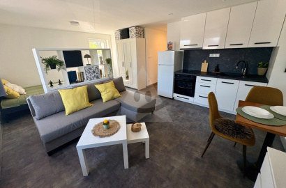 1 - izbový byt na prenájom / 30 m2 / - Žilina (Rosinky)