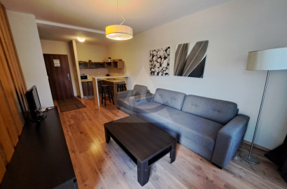 Apartmán - 2 izbový  VIA JASNÁ na predaj, Demänová