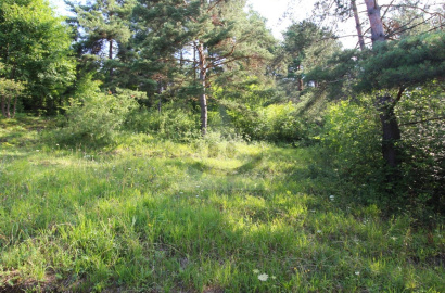 Rekreačný pozemok /1472 m2/, Hlboké nad Váhom